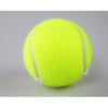 Professional Standard Tennis Sports Training Balls